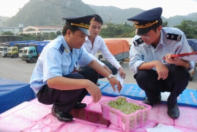 Không có chuyện hàng hóa ách tắc tại cửa khẩu Tân Thanh
